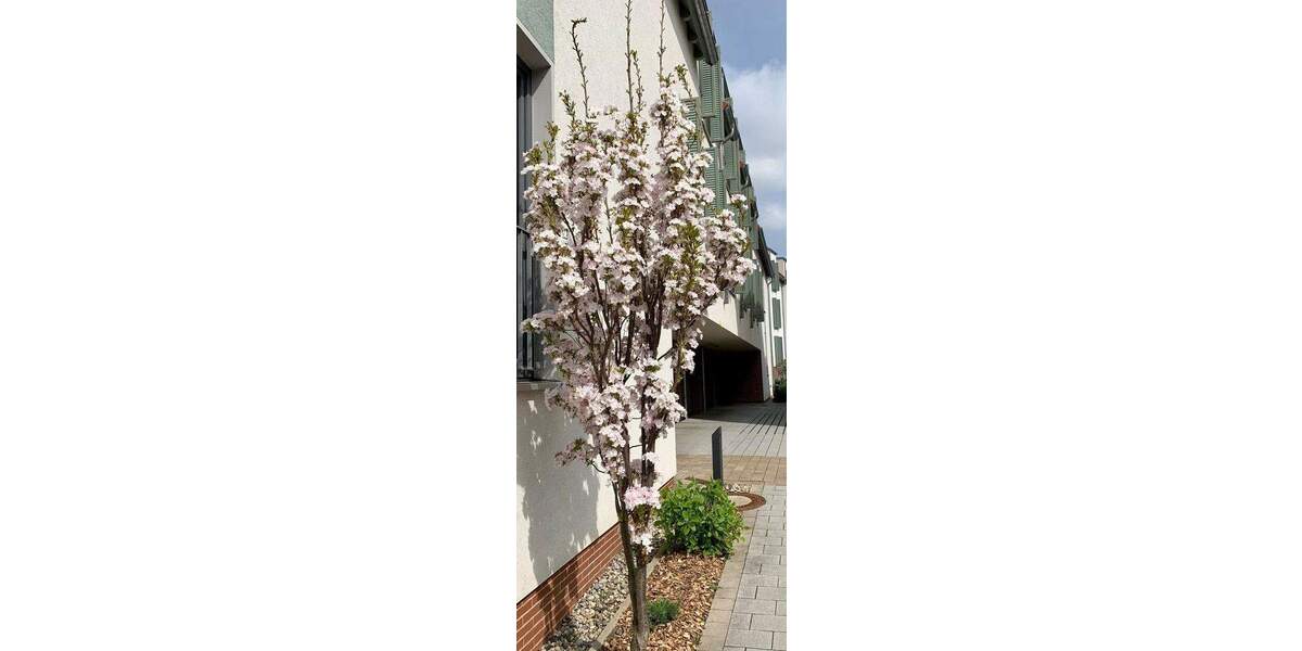 Etagenwohnung Frankfurt / Kalbach-Rieberg Kalbach - 3 Zimmer, 75 m&sup2;, 459.000&euro; | Angebot:25659215