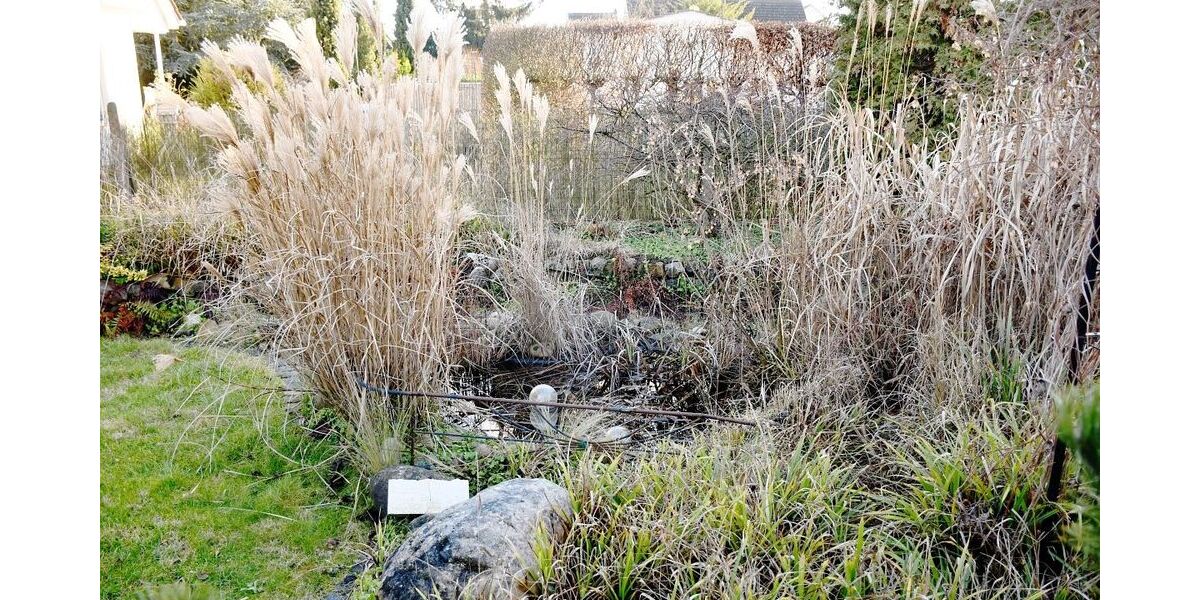 Freistehendes Zweifamilienhaus auf ca. 1.000 m² weiter bebaubarem Grundstück in Weiterstadt - Zweifamilienhaus Weiterstadt Weiterstadt | Angebot:24951017