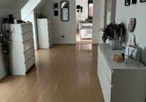 2 Zimmer DG Wohnung Darmstadt