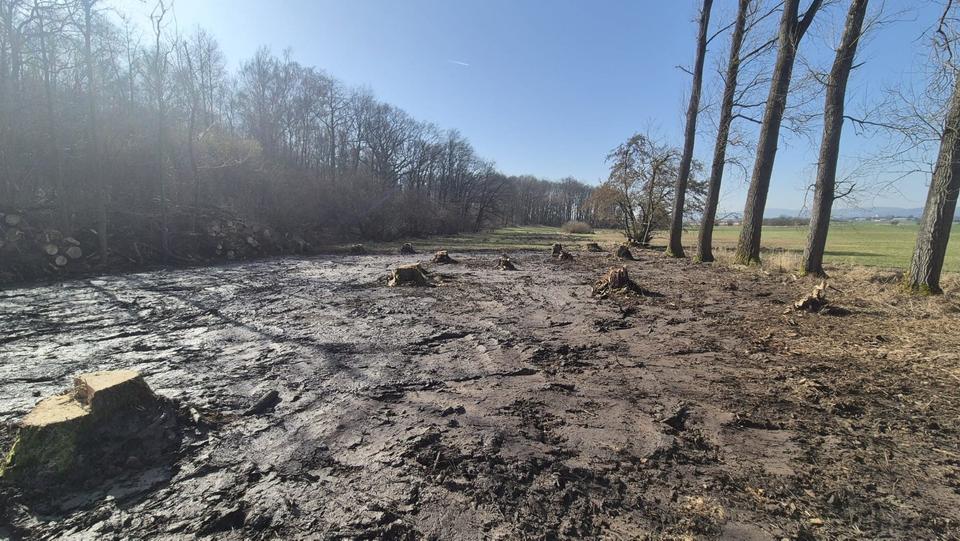 Einfamilienhaus Rosbach vor der Höhe - 15.000&euro; | Angebot:25378496