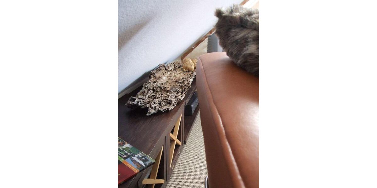 Etagenwohnung Darmstadt Bessungen - 1 Zimmer, 25 m&sup2;, 835&euro; | Angebot:21436988