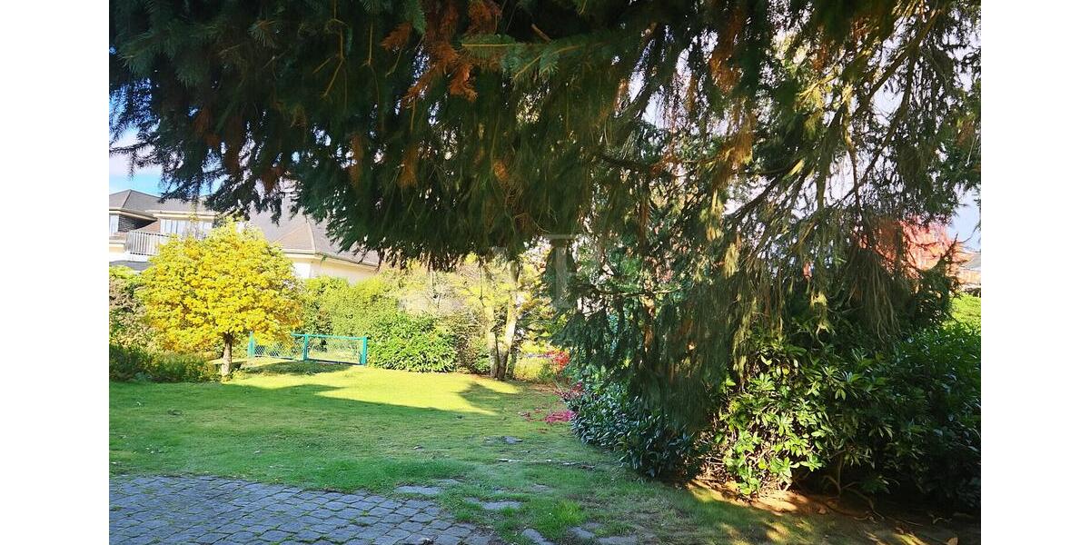 Einfamilienhaus Bad Homburg vor der Höhe Gonzenheim - 5 Zimmer, 227 m&sup2;, 3.300&euro; | Angebot:23393660