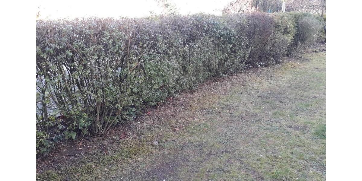 3-Zimmer Wohnung mit Terasse und Gartenanteil in Schwalbach am Ta 3 zimmer