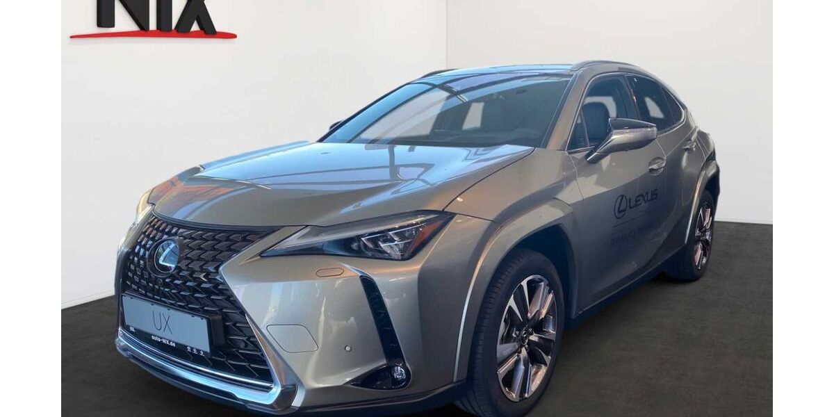 Lexus UX 3.000 km 42.900 &euro; Frankfurt 60314