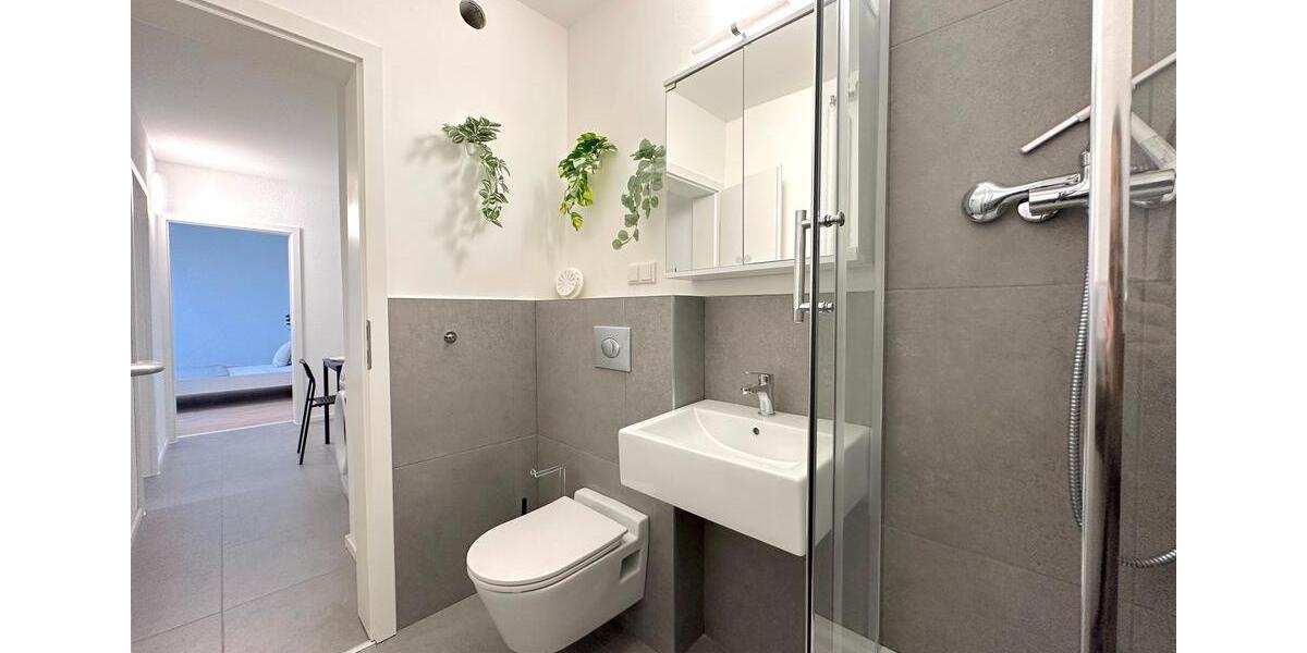 Etagenwohnung Frankfurt am Main Sossenheim - 1 Zimmer, 30 m&sup2;, 520&euro; | Angebot:26423732