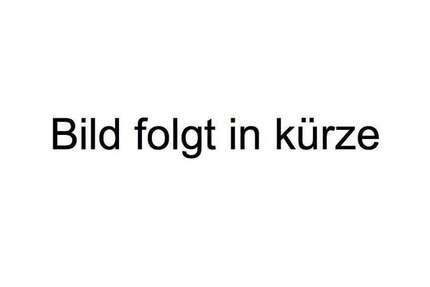 Ford Galaxy 185.000 km 8.700 &euro; Frankfurt am Main 60489