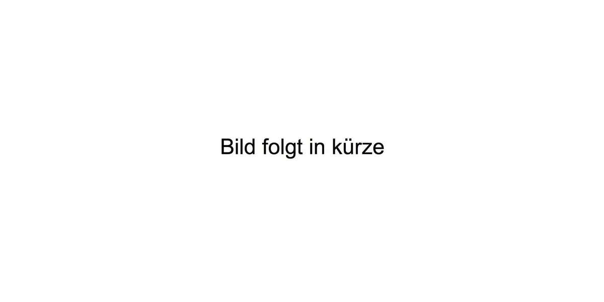 Ford Galaxy 185.000 km 8.700 &euro; Frankfurt am Main 60489