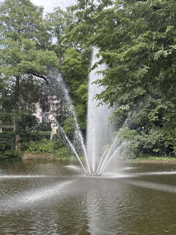 Einzelhandel in Egelsbach 520.000 € 350 m²