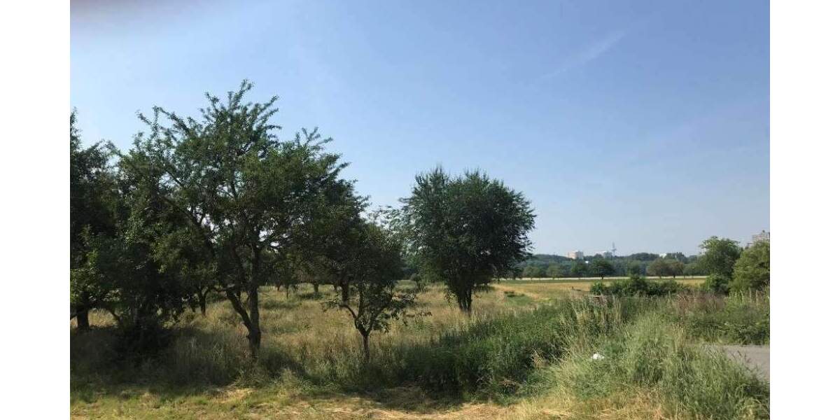 Reihenendhaus Frankfurt am Main Harheim - 5 Zimmer, 156 m&sup2;, 2.600&euro; | Angebot:25768507