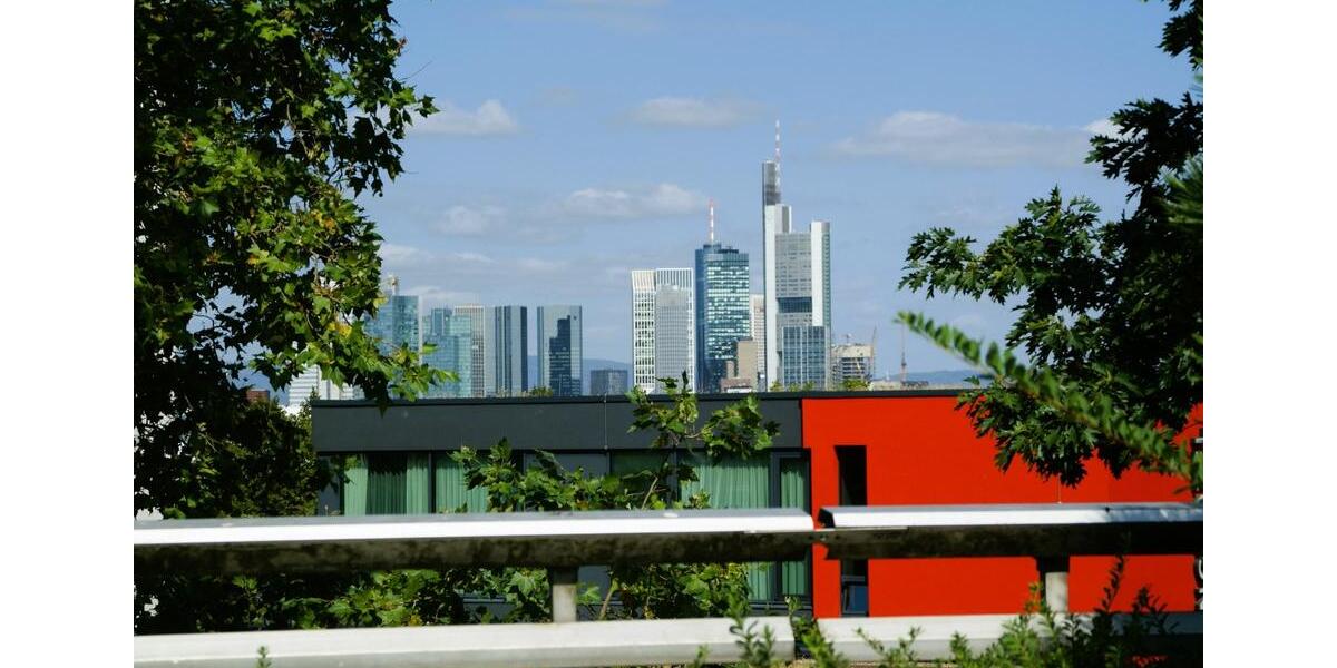 Terrassenwohnung Frankfurt am Main Sachsenhausen Süd - 2 Zimmer, 88 m&sup2;, 1.400&euro; | Angebot:25646934