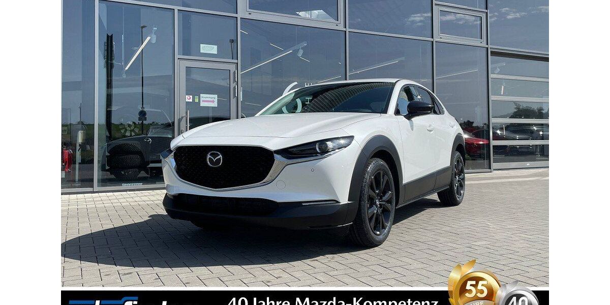 Mazda CX-30 3.000 km 29.990 &euro; Karben 61184