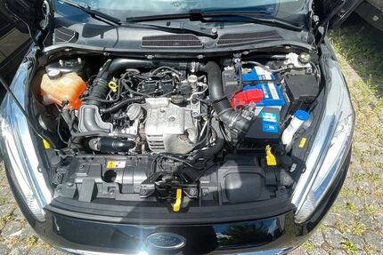 Ford Fiesta 109.500 km 4.500 &euro; Hanau 63450
