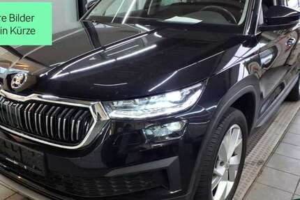 Skoda Kodiaq 44.500 km 35.488 &euro; Mühlheim a. Main 63165