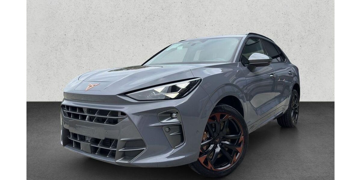 Cupra Terramar 2.251 km 48.900 &euro; Friedberg 61169