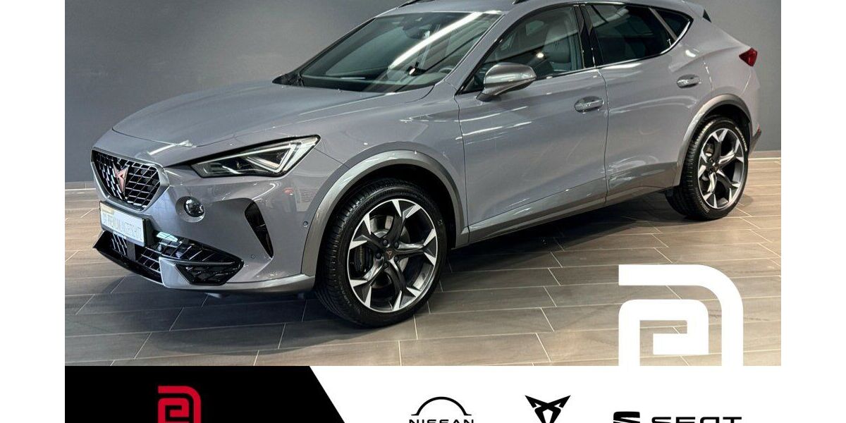 Cupra Formentor 16.200 km 36.890 &euro; Offenbach 63069