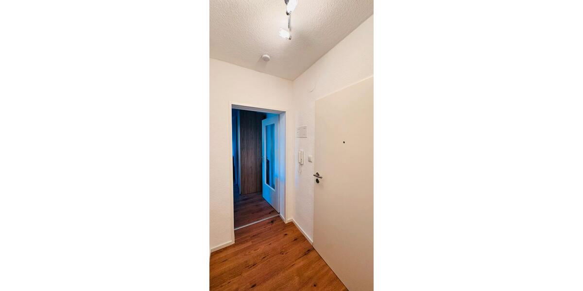 Etagenwohnung Frankfurt am Main Nied - 1 Zimmer, 29 m&sup2;, 800&euro; | Angebot:26233994