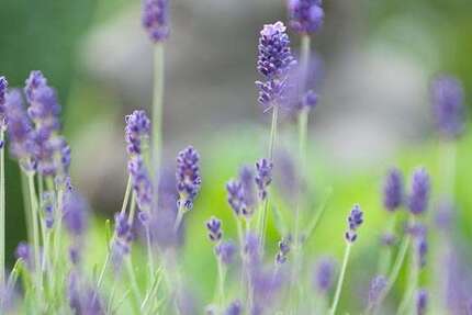 Grundstück Neu-Anspach Anspach - 295.000&euro; | Angebot:25628365