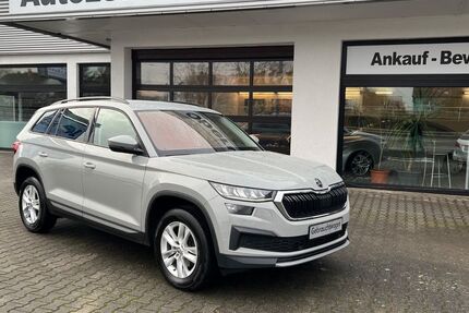 Skoda Kodiaq 168.250 km 21.730 &euro; Oberursel/Taunus 61440