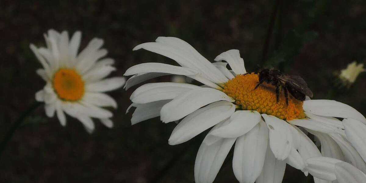 Grundstück in Niedernhausen 255.000 € 364 m² zimmer