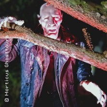 Nosferatus Auferstehung 21.03.2026 U-Bahn-Haltestelle Niddapark, Treppe nach unten