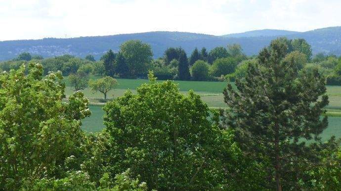 Etagenwohnung Steinbach - 2 Zimmer, 60 m&sup2;, 690&euro; | Angebot:25386905