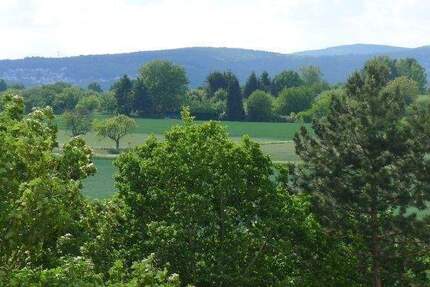 Wohnung Steinbach - 2 Zimmer, 60 m&sup2;, 690&euro; | Angebot:25386905