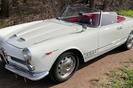Alfa Romeo Spider