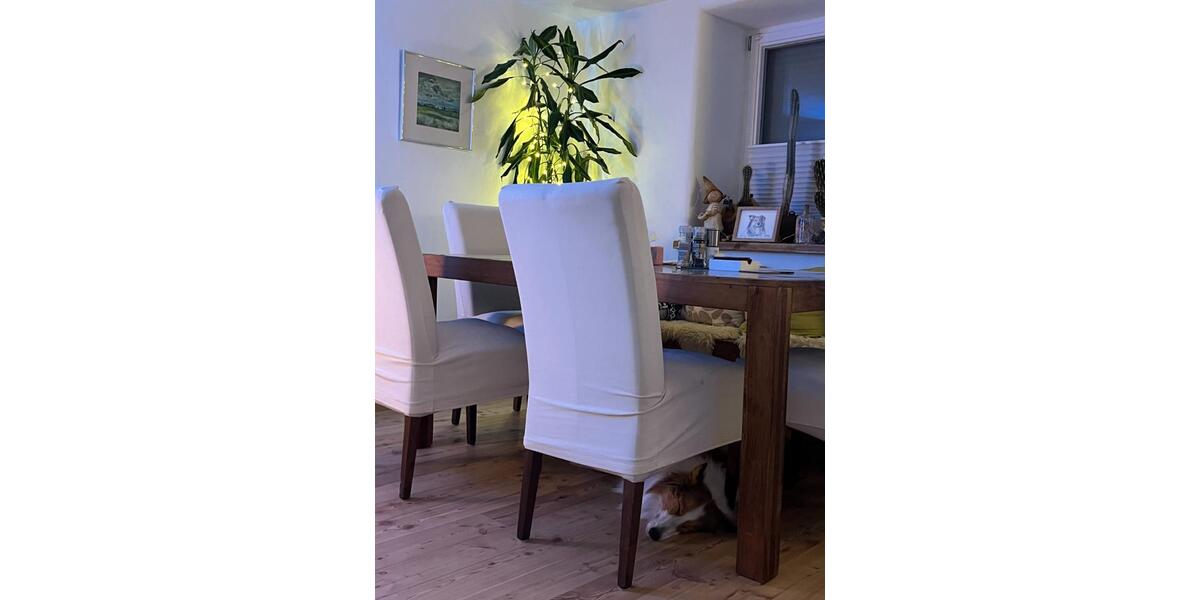 Einfamilienhaus Ober-Mörlen Mörlen - 5 Zimmer, 114 m&sup2;, 499.000&euro; | Angebot:26527058
