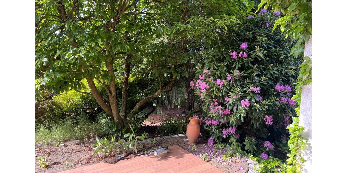 Einfamilienhaus Mainhausen - 630.000&euro; | Angebot:27092575
