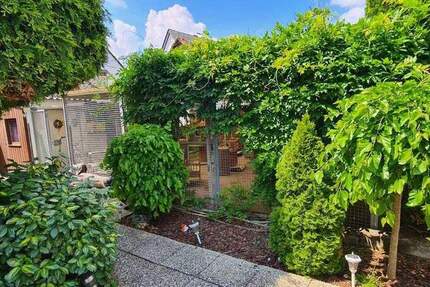 Einzigartige Gelegenheit: Etablierte Katzenpension mit 310 m² überdachtem Außenbereich und Bungalow zimmer