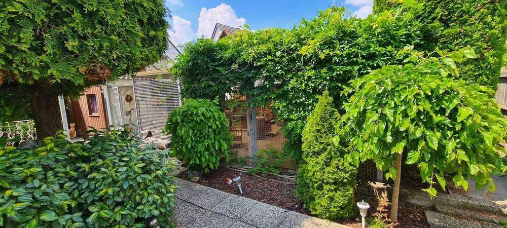 Einzigartige Gelegenheit: Etablierte Katzenpension mit 310 m² überdachtem Außenbereich und Bungalow zimmer