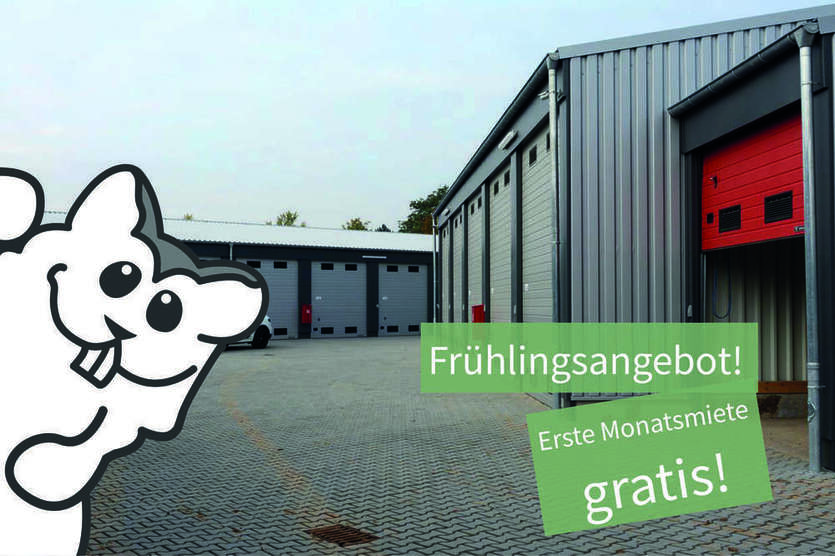 Halle in Büttelborn 365 € 40 m²