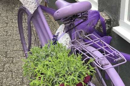 Einzelhandel in Niedernhausen 1.490 € 100 m² zimmer