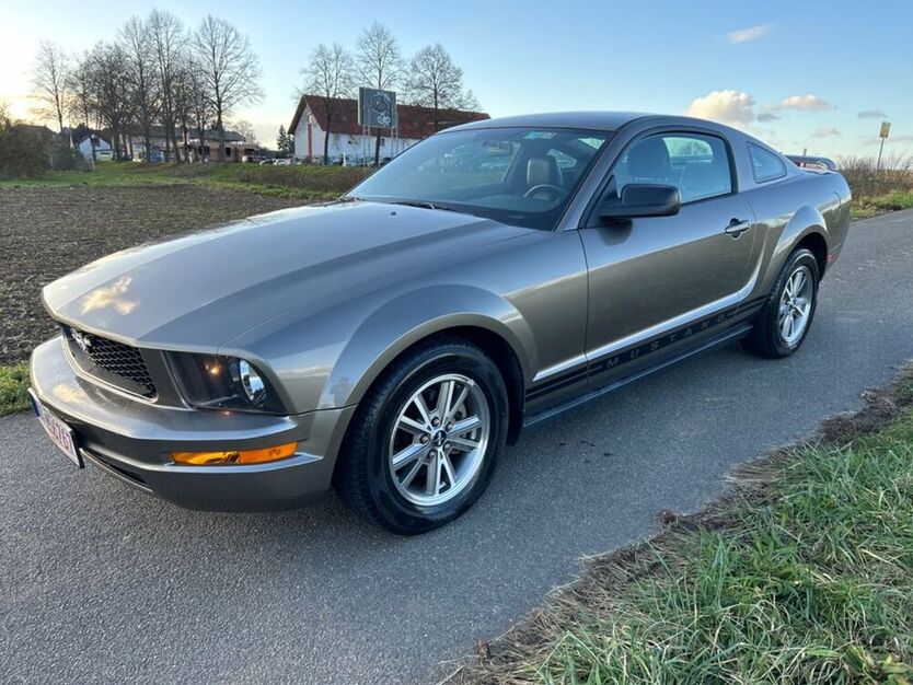 Mustang