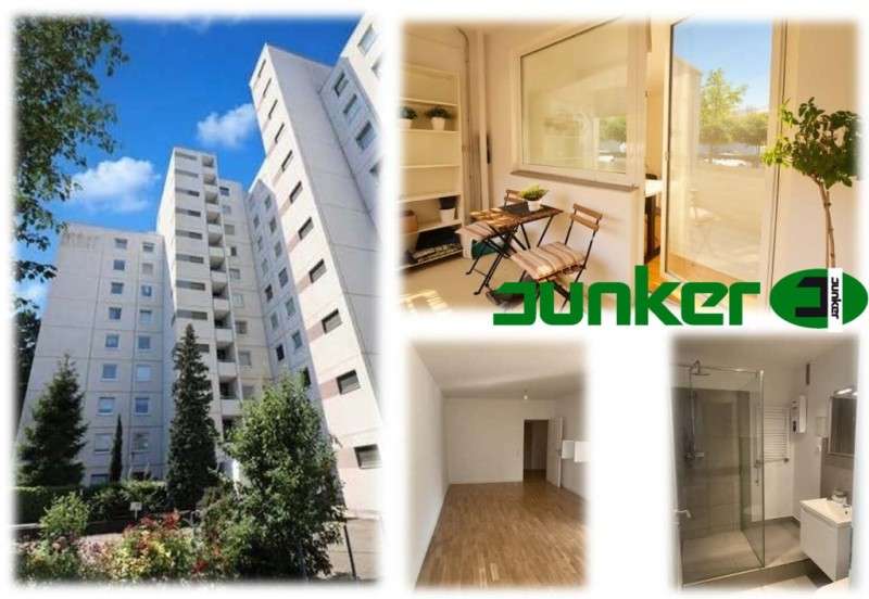 Etagenwohnung Frankfurt am Main Sachsenhausen Süd - 1 Zimmer, 45 m&sup2;, 199.000&euro; | Angebot:27005289