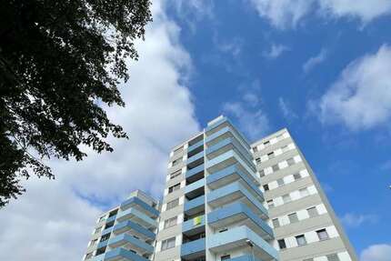 Wohnung Liederbach - 1 Zimmer, 31 m&sup2;, 119.000&euro; | Angebot:22774476