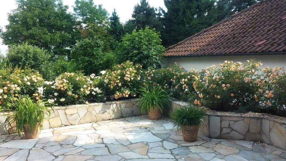 Mehrfamilienhaus, Wohnhaus Offenbach Offenbach am Main - 9 Zimmer, 307 m&sup2;, 1.370.000&euro; | Angebot:25696458