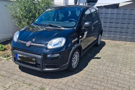 Fiat Panda 136.000 km 6.000 &euro; Nidderau 61130