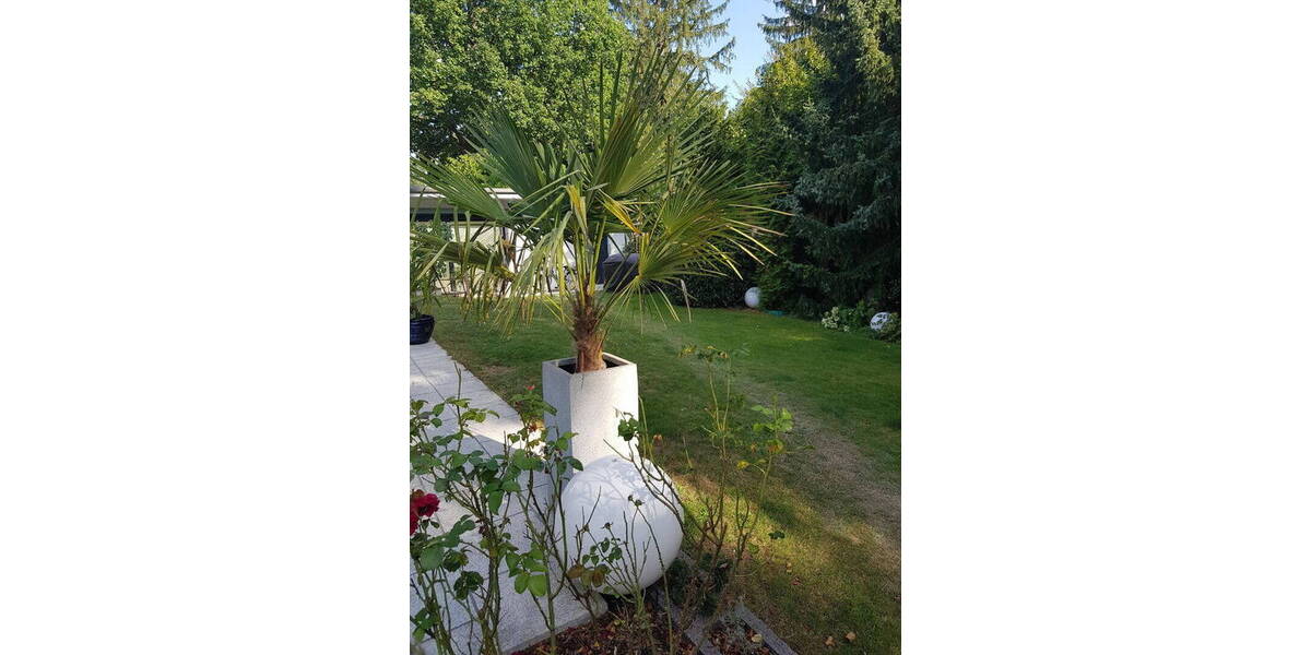 Einfamilienhaus Dreieich Buchschlag - 9 Zimmer, 300 m&sup2;, 4.390&euro; | Angebot:26712738