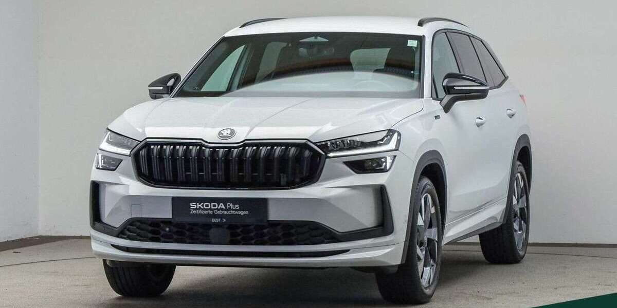 Skoda Kodiaq 17.000 km 44.888 &euro; Mühlheim a. Main 63165