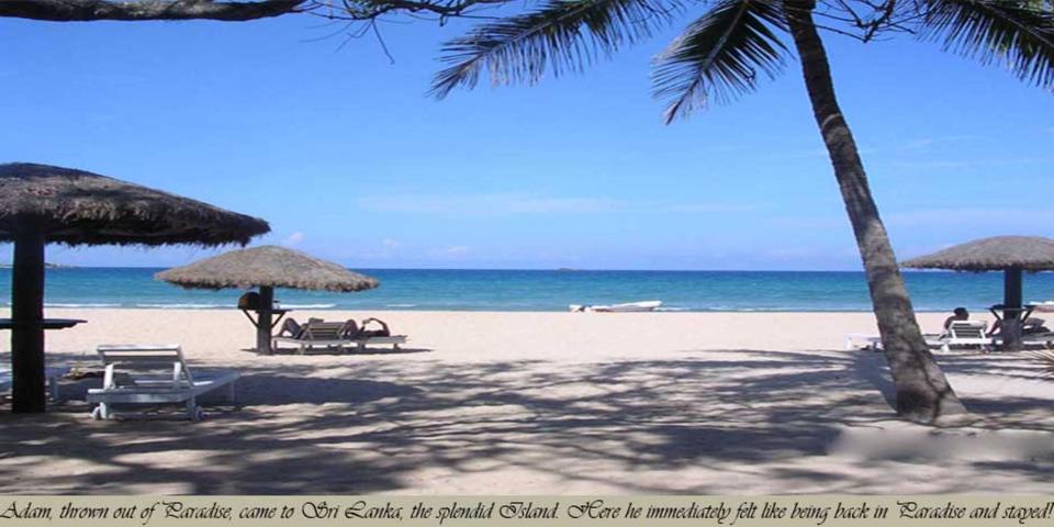 Einfamilienhaus Frankfurt am Main Innenstadt 1 - 24 Zimmer, 700 m&sup2;, 750.000&euro; | Angebot:21324575