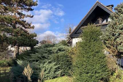 Haus zum Kaufen in Frankfurt am Main, Nieder-Eschbach 1.590.000 € 368 m² 10 zimmer