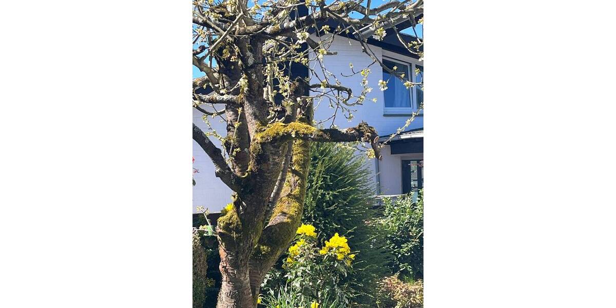 Mehrfamilienhaus, Wohnhaus Hammersbach Langen-Bergheim - 7 Zimmer, 340 m&sup2;, 599.000&euro; | Angebot:26203301