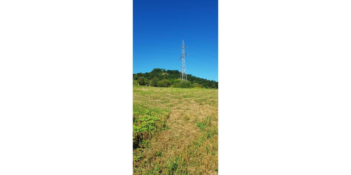 Haus, investment opportunity in Sighisoara, Romania zimmer