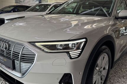 Audi e-tron 118.200 km 23.490 &euro; Dieburg 64807
