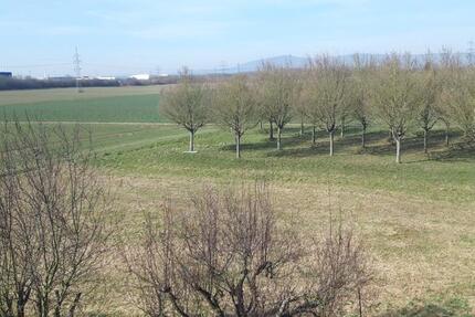 3 Zimmer-Wohnung 3 zimmer