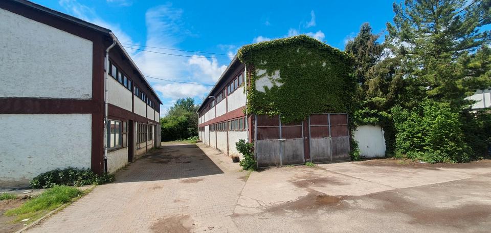 Gewerbeobjekt Schöneck - 1.750&euro; | Angebot:26623599