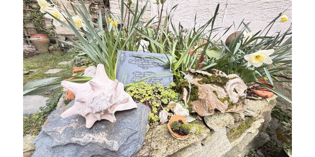 *Kleinod im Herzen von Kronberg* - Einfamilienhaus Kronberg | Angebot:25853090