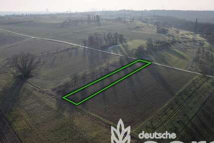 Grundstück in Frankfurt am Main 11.900 € 1622 m² zimmer