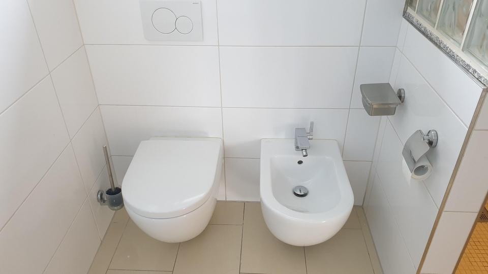 Luxuriöse Penthousewohnung mit Gewerberaum in Heusenstamm am Waldrand und Waldsee 4.5 zimmer